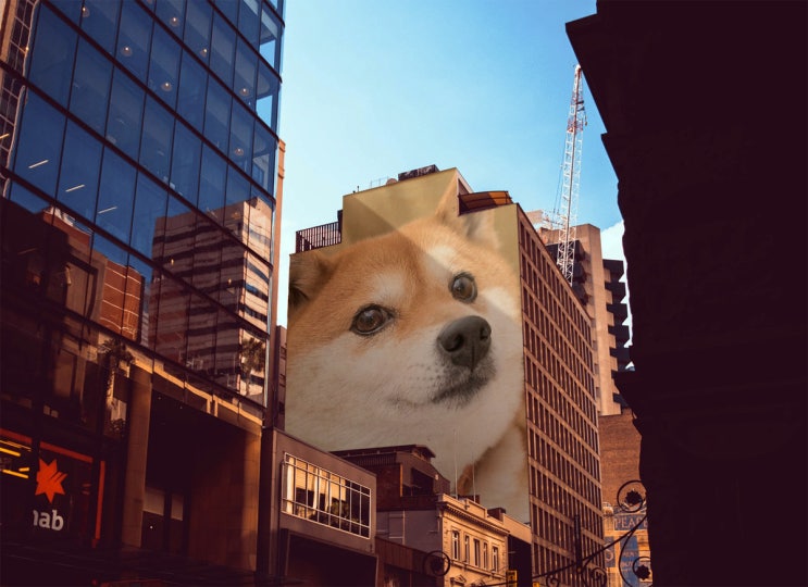  도지(doge) 코인 상승과 머스크