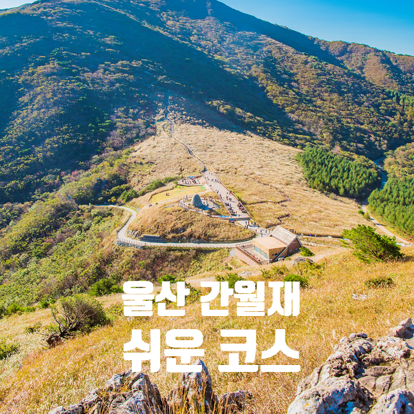 울산 간월재 코스 쉬운 길 임도 및 주차장 휴게소