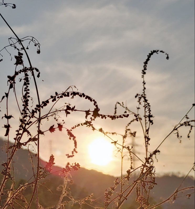 오늘 오후 망현산과 아리산에서 본 일몰모습