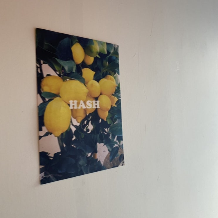  대구 시내 Hash(해쉬)
