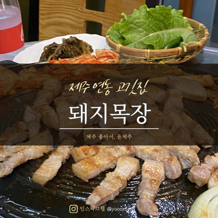 제주 연동 고깃집 : 돼지목장 / 오겹살 맛집 추천