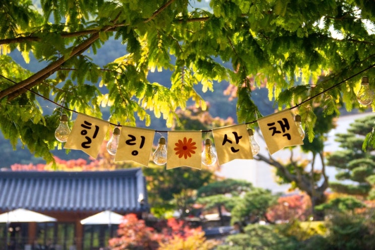  광주 곤지암 화담숲 단풍길산책(10월 단풍현황/모노레일/예약팁/먹거리)