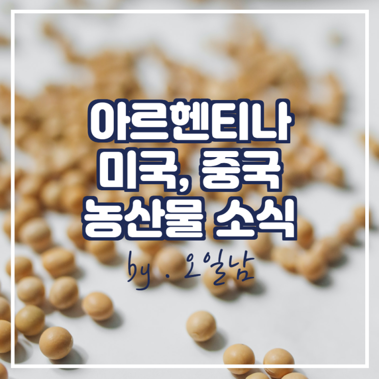  아르헨티나 대두 판매, 중국 과일 수입, 미중 대두 교역량 소식