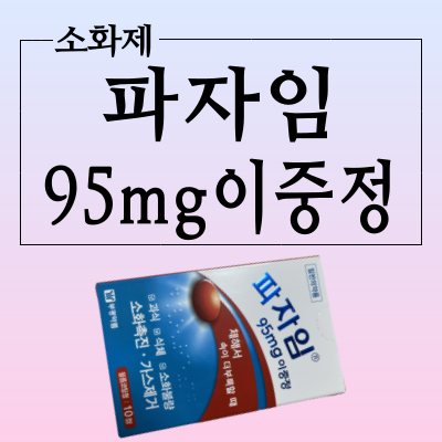 파지임 95mg 이중정 부광약품의 소화제&가스제거제