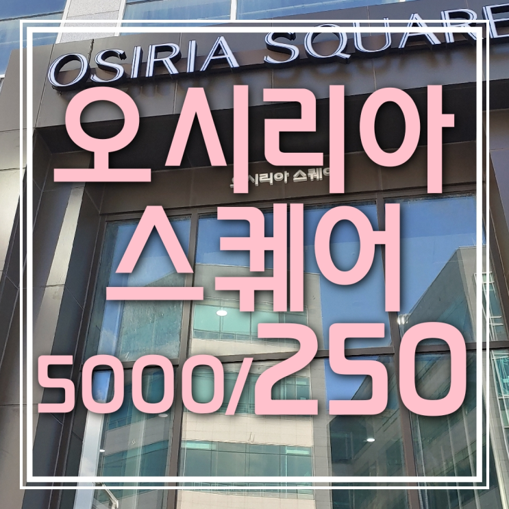  오시리아 스퀘어 상가 임대 (인테리어완료)