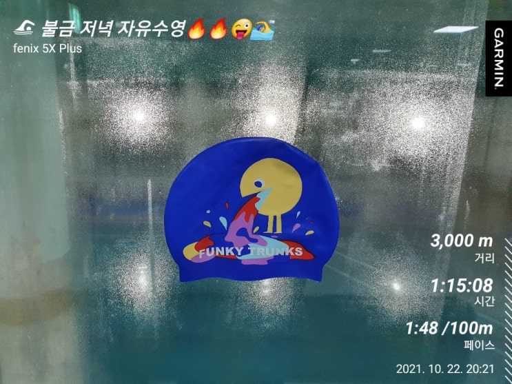  [수영일기] 10월 22일 스트로크 수를 줄이자!