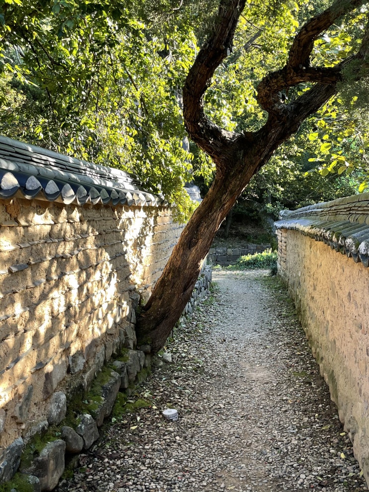  [건축답사] _ 이언적 독락당