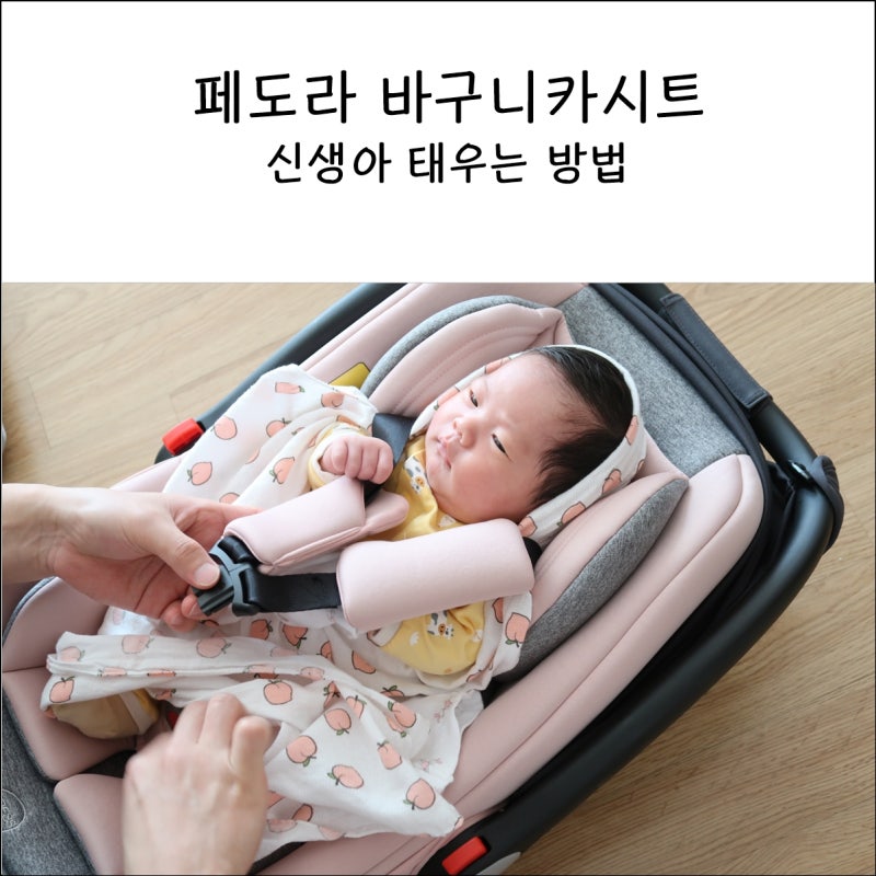 두나플러스 신생아 바구니 카시트 유모차 한번에!