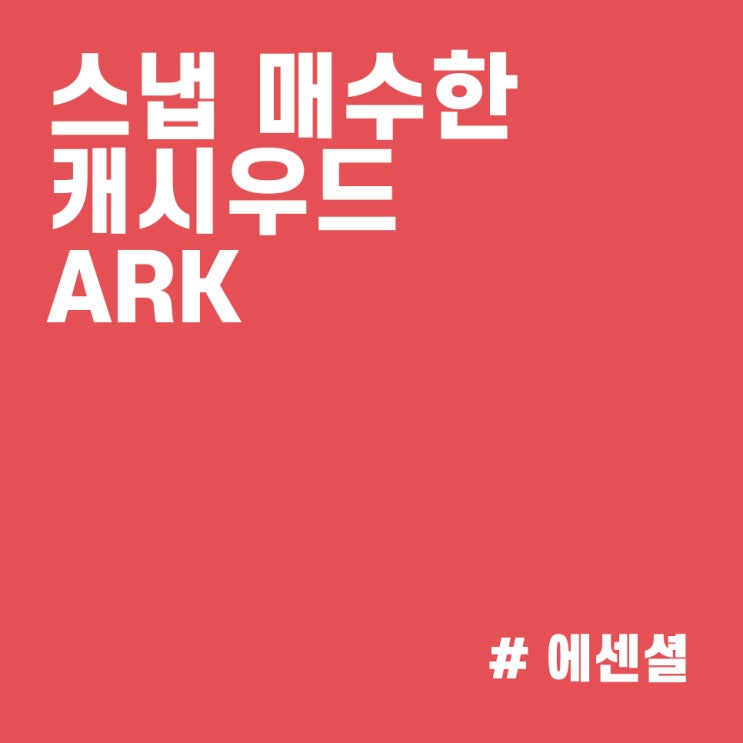  스냅(SNAP) 주가 28% 하락하자 적극 매수한 캐시우드 :: ARK 매매내역 (21/10/22)