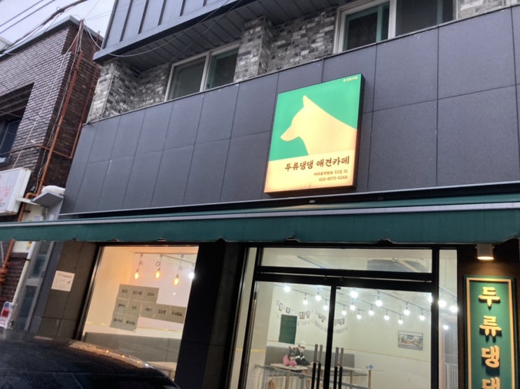  대구 달서구 애견카페 두류댕댕 :: 애견유치원 까지 !