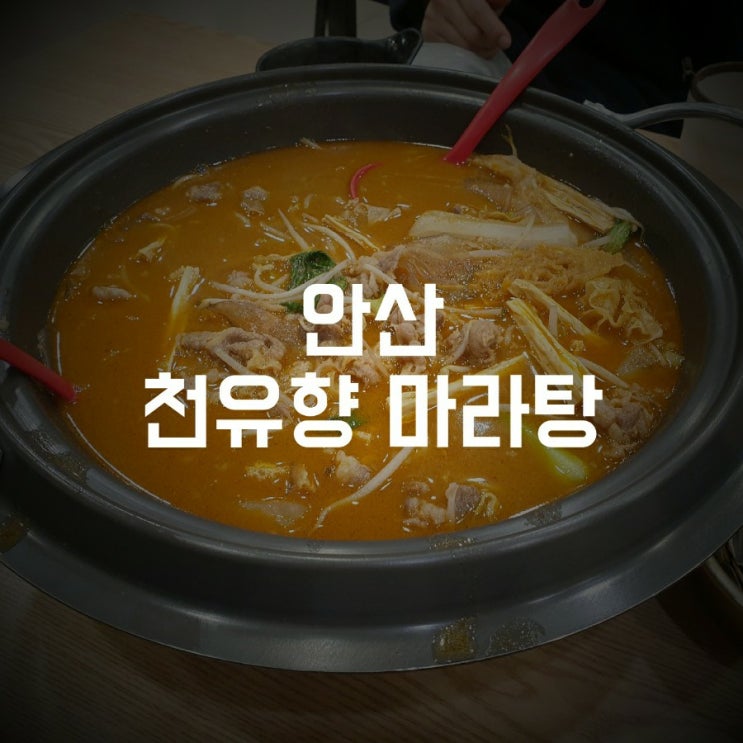  [안산 상록수역] 천유향 마라향솥