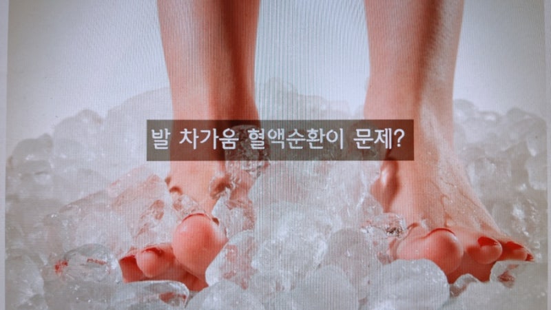 유이네스 이미지
