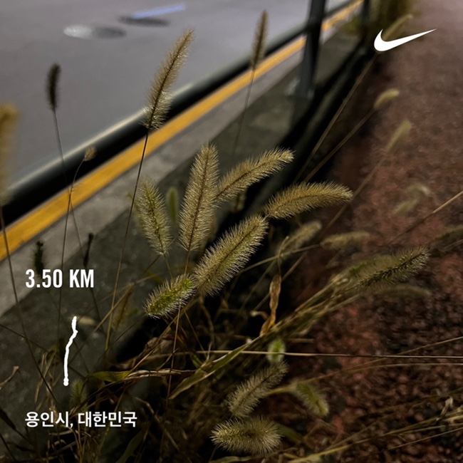  러닝일기 - 2021년 10월 22일 러닝
