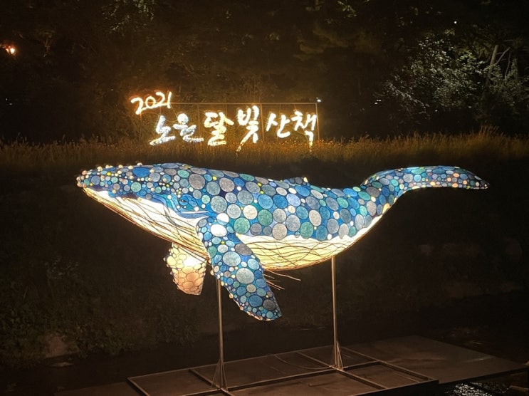  노원축제 당현천 노원달빛산책 다녀왔어요~ 참석 추천!