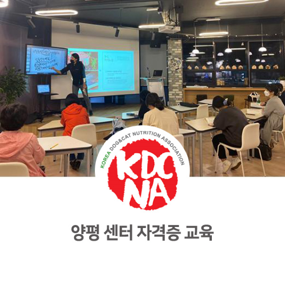  경기청년공간 내일스퀘어 양평 반려동물영양전문강사 자격 교육 후기 [최수연펫영양사/수원/성남/의정부/용인/안양/부천/펫푸드자격증_907]