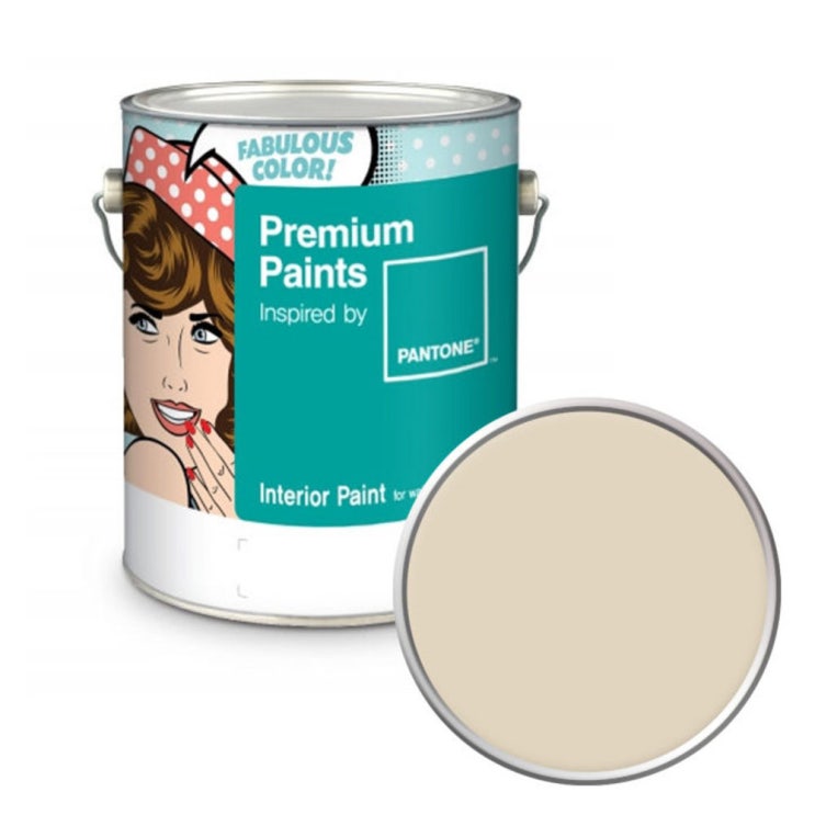 인지도 있는 노루페인트 팬톤 내부용 실내 벽면 무광 페인트 4L, 12-0304 Whitecap Gray 좋아요