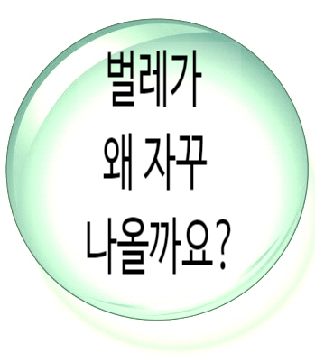  쌀과자 깔따구 유충 검출, 인천 수돗물 사태 또다시 반복되나. 쩝;