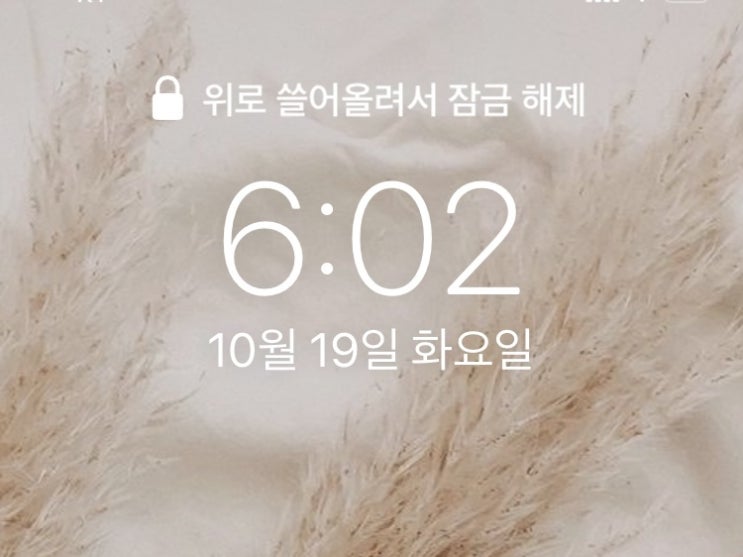 [습관만들기] 미라클 모닝 WEEK 17 - 루틴 찾아가기