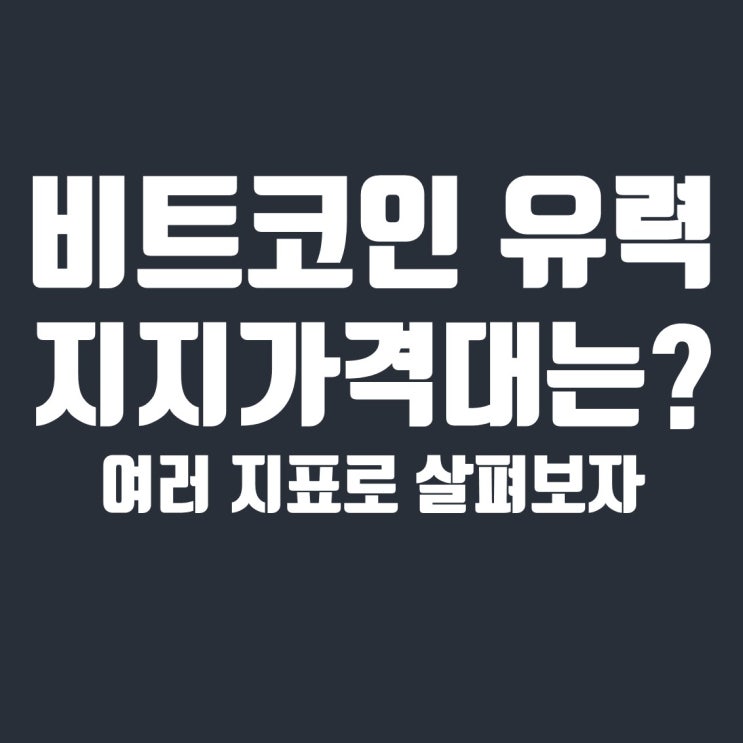  비트코인 시황 : 다양한 기술적 분석으로 보는 지지 매물대