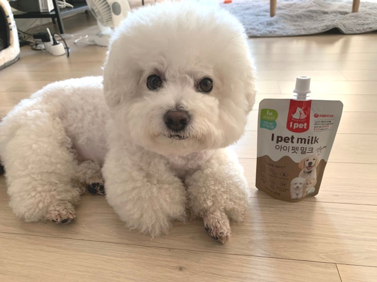 강아지 음수량 늘리는 법 ! 펫 밀크 서울우유 아이 펫 밀크 !