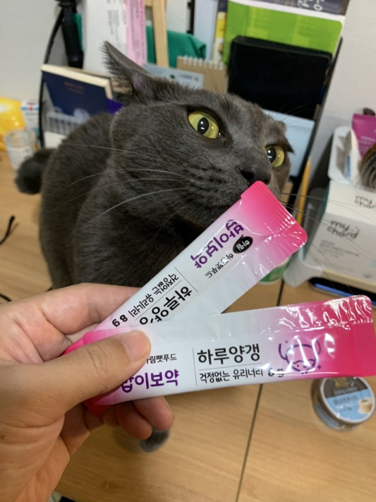 [하림펫푸드 밥이보약] 고양이 간식 - 하루양갱 #내돈내산
