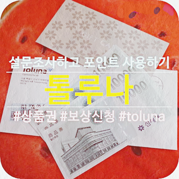 톨루나 설문조사 알바 Toluna로 쉽게 용돈 모으기