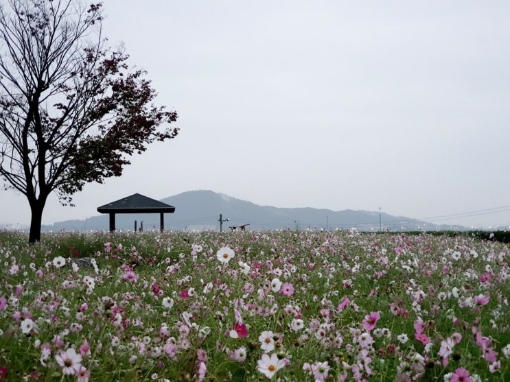 당신에게 할 수 있는 일은 당신에게 할 수 있는 일은