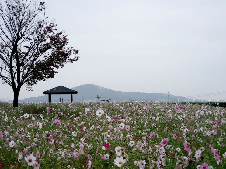 당신에게 할 수 있는 일은