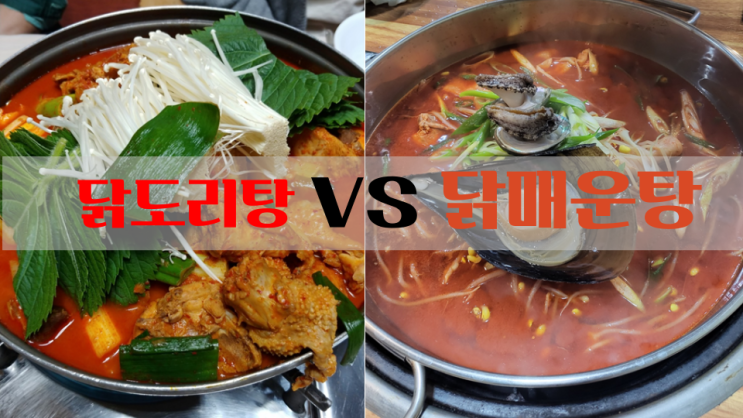 닭매운탕 vs 닭도리탕 (feat. 대전 닭매운탕 맛집)