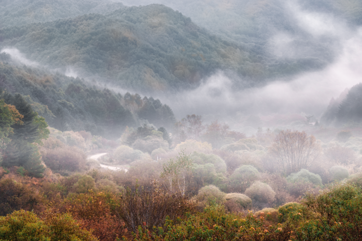강원도 가 볼 만한 곳/단풍 사진 명소/인제 비밀의 정원