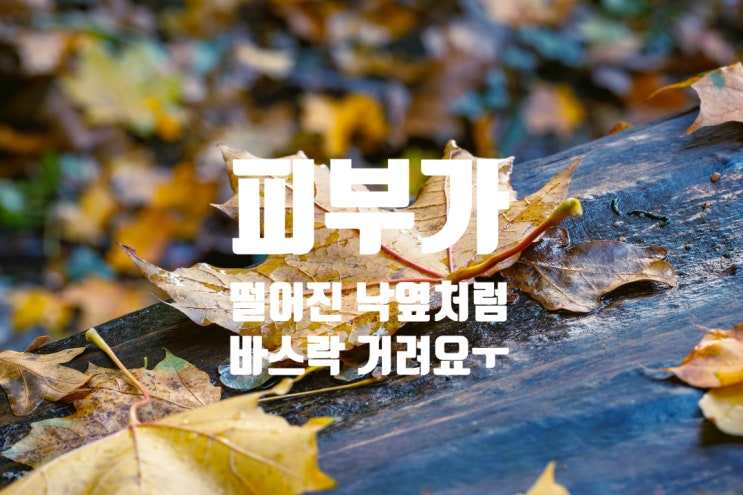  부천피부관리 가을,겨울 민감피부를 위한 영양크림 특가추천