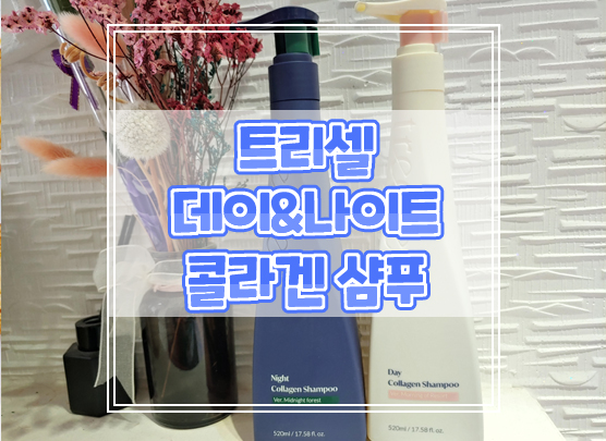  트리셀 데이&나이트 콜라겐샴푸로 내 습관에 맞는 샴푸 찾아 관리해요