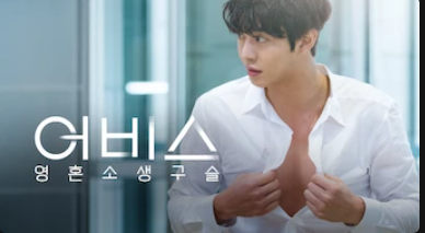  정주행 추천