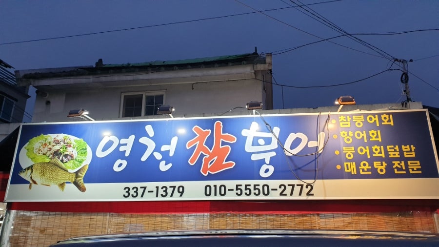 영천참붕어 사진 1