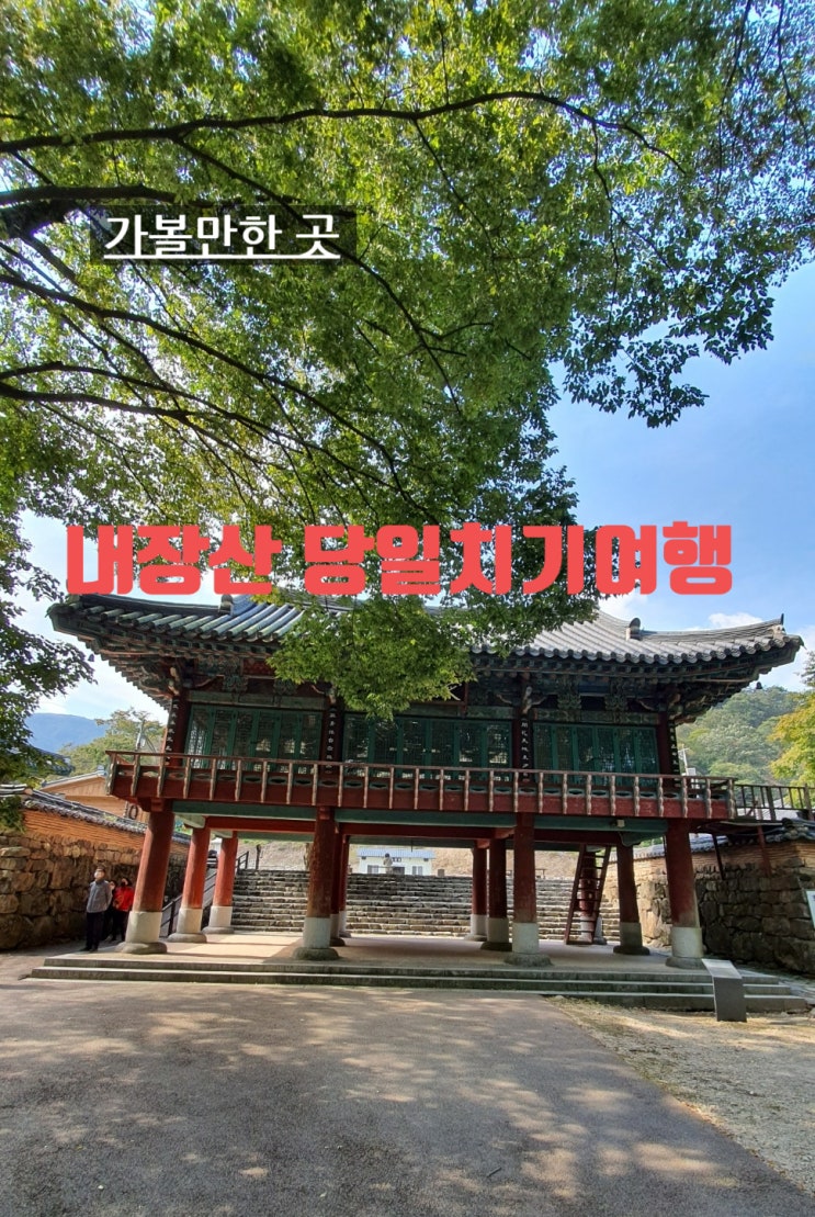  내장산 당일치기 여행