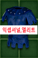   익셉셔널//엘리트 아이템 방어구 총정리