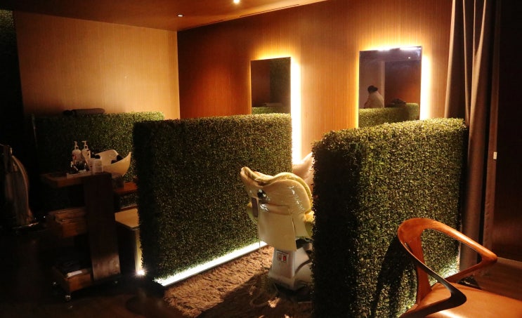  강남역미용실 환절기 두피관리, 리챠드프로헤어 신논현역점 후기