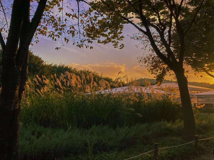  바쁜 한 주