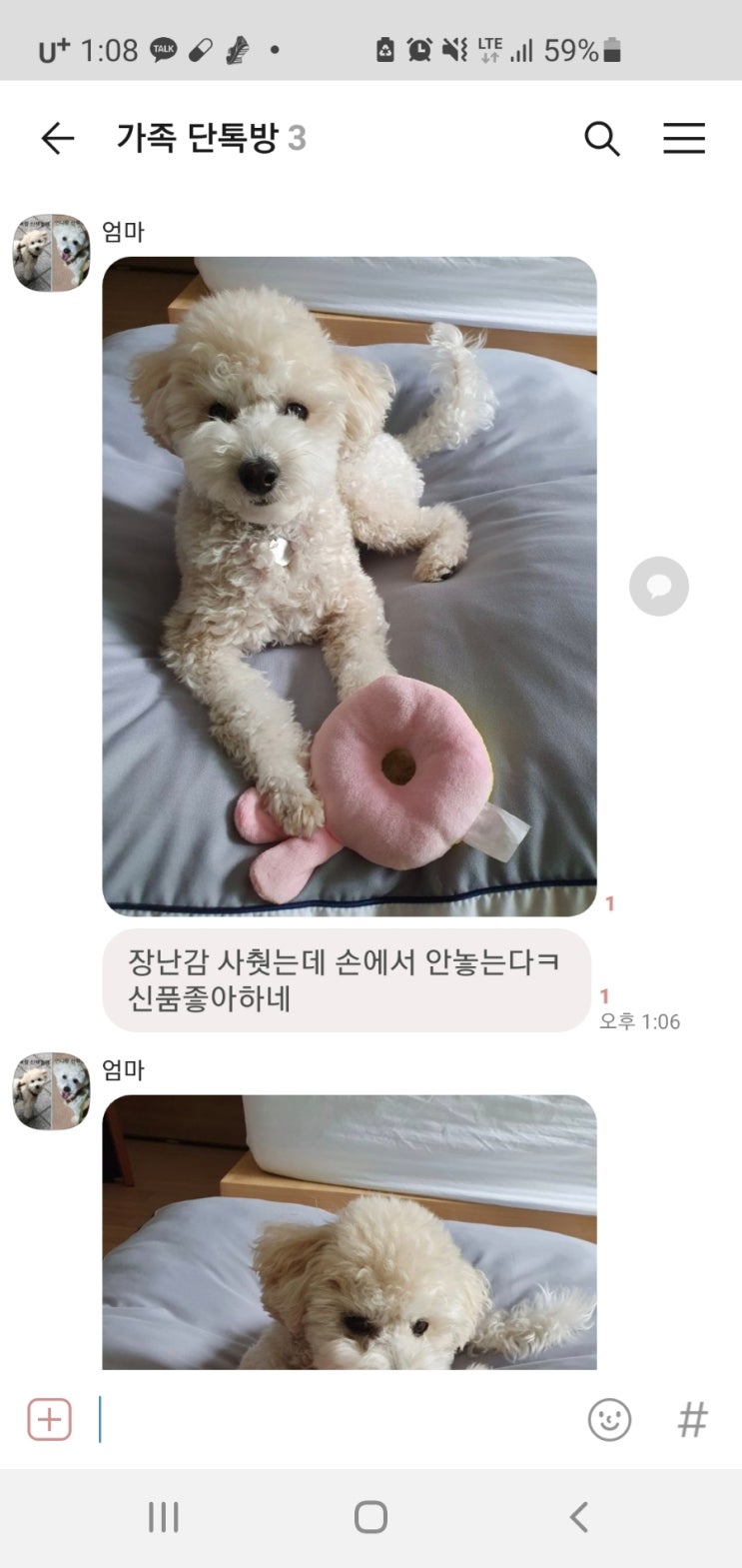  할머니집간 상추2