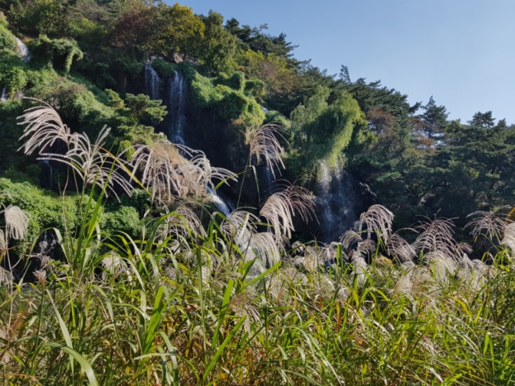 어제의 산책 어제의 산책