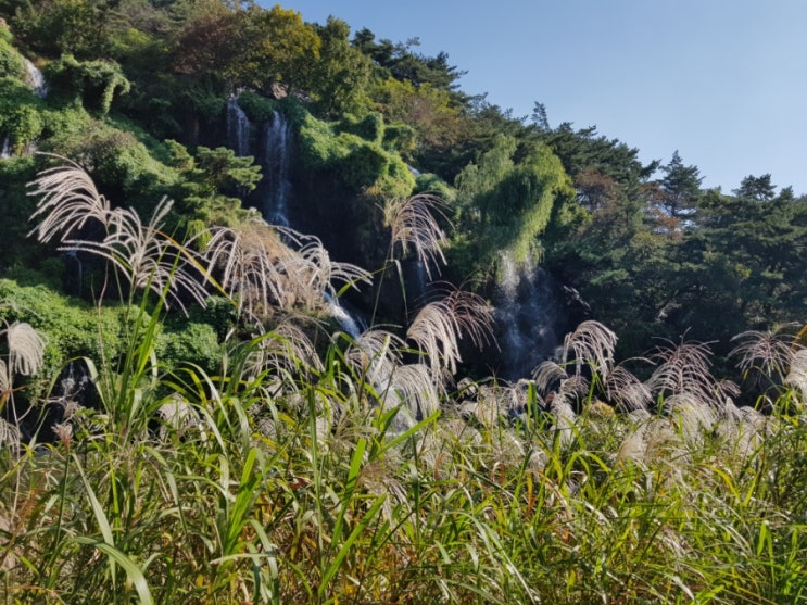 어제의 산책