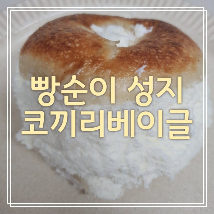  빵순이인정 빵 맛집] 코끼리베이글_주말웨이팅/주차