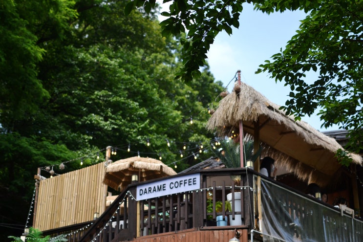 용인카페 깊은 산속 다람쥐 카페 &lt;다람이커피&gt; 사진 찍기 좋은 뷰맛집