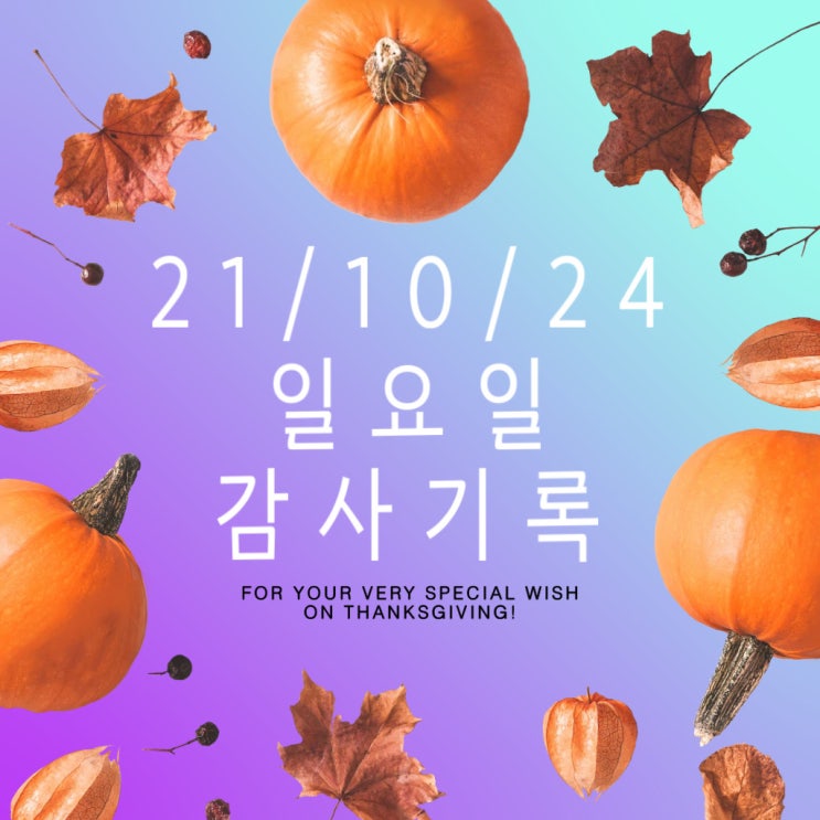  21/10/24 일요일 감사
