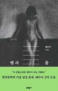  [책] 기괴한 꿈 같은 이야기, <1979> (배수아)