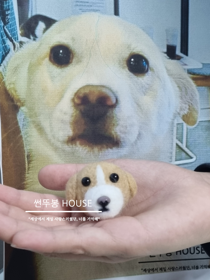  양모펠트 클래스와 유기견 후원을 동시에! 썬뚜봉하우스 다사개 미니클래스
