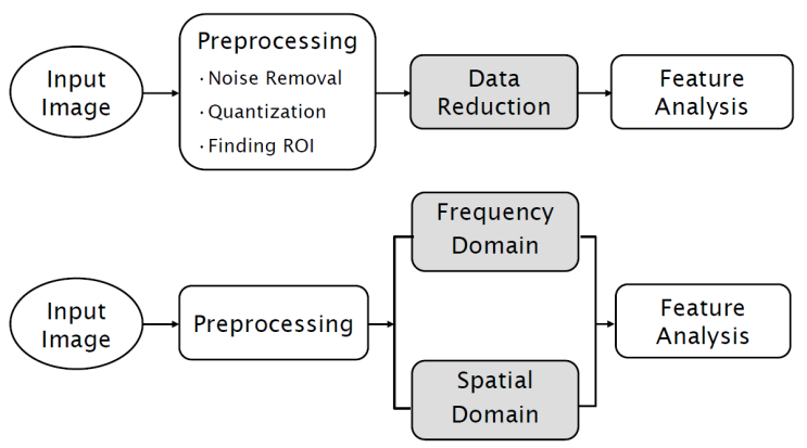  Digital Image Analysis