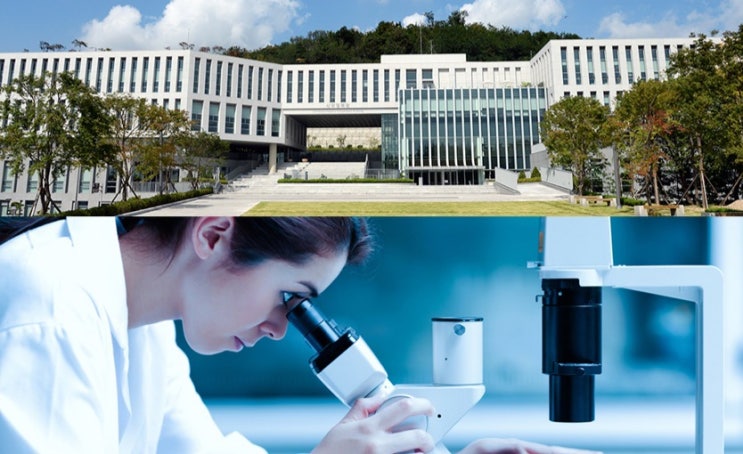  코로나19 경구용 치료제로 글로벌 게임체린저가 될수있을까? 현대바이오 종목 및 차트분석