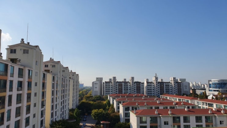 매일 한 줄 일기쓰기 - 10.25 (늦잠, 토스 퀴즈, 아침산책, 오늘의 필사)