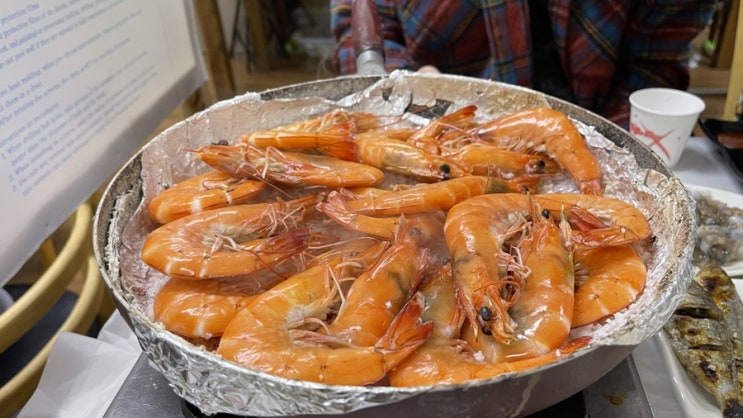  서해안 노을맛집 홍성 남당리 대하축제에서 가을전어, 제철대하 먹었어요(애견동반 만중)
